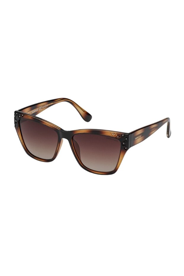 DS2153 C2 Sunglasses