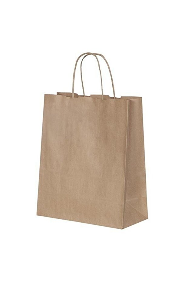 Kraft Twist Handle Bag 25 cm X 12 cm X 31 cm (25 Pieces) (Paper Bag Bag)
