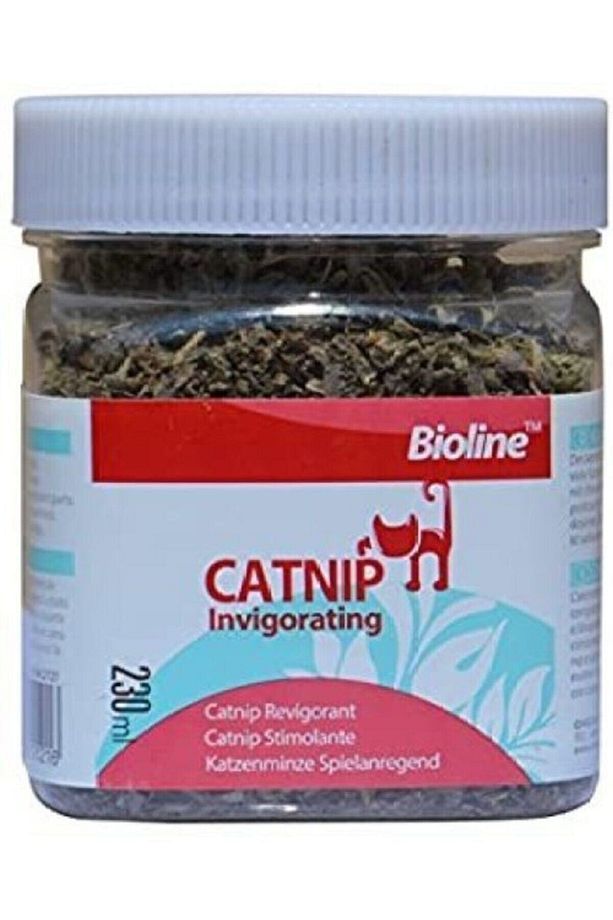 Catnip Kedi Otu 230 Ml - 1
