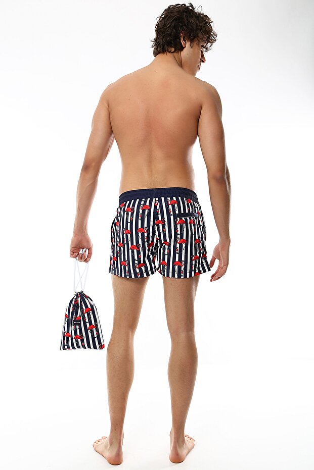 Deniz Şortu - Striped Flamingo - 4