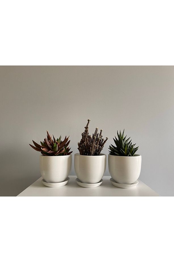 3'lü Mini Saksı Seti 10cmx12cm Ekru Renk - 1