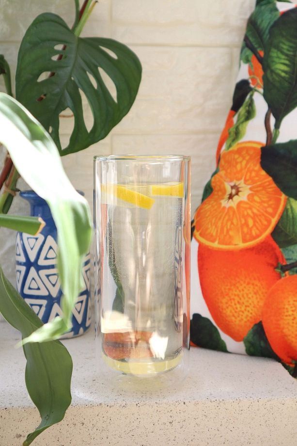 Epinox Kulplu Çift Cidarlı Kahve, Su Ve Çay Bardağı 500ml - 1