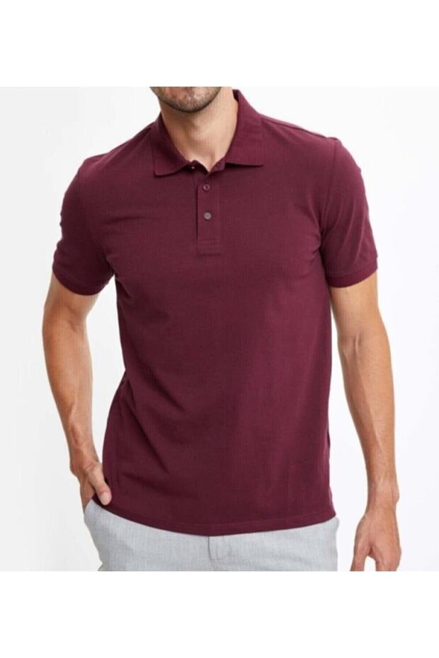 Erkek Basic Polo Yaka T-shirt - 1