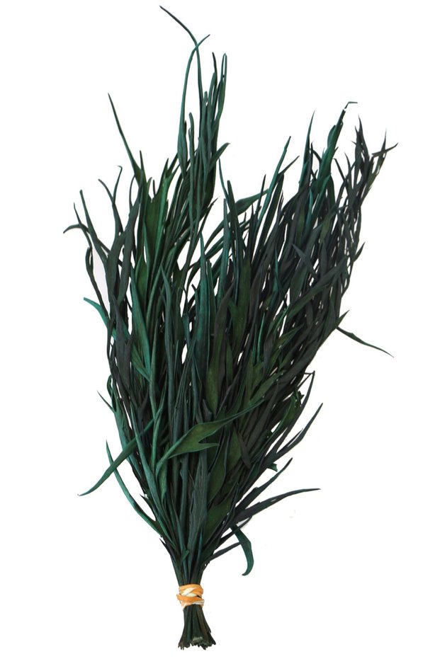 Decorative Dried Green Mini Plant 20 cm Gavellia Leaves Green