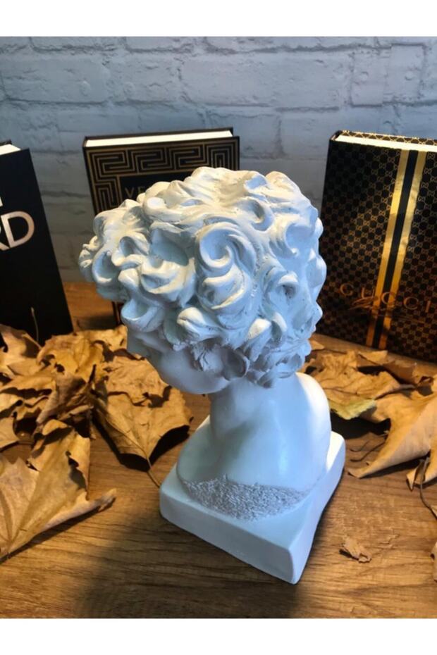 David Büst Biblo - 3