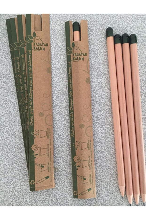 Yaşayan Tohum Kalem - 1