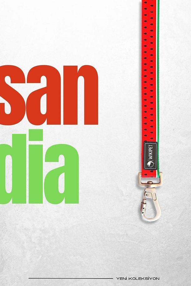 Sandia Köpek Gezdirme Tasması, Kilitlenebilir Kanca - 2