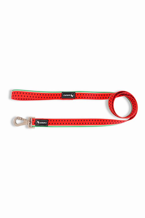 Sandia Köpek Gezdirme Tasması, Kilitlenebilir Kanca - 4