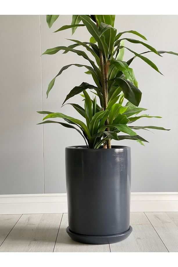 40litre Silindir Saksı Tabaklı Yükseklik:40cm Çap:33cm Antrasit Renk - 2