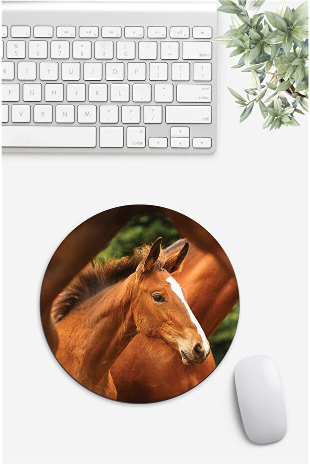 Puppy Foal Patterned Mouse Pad - 1