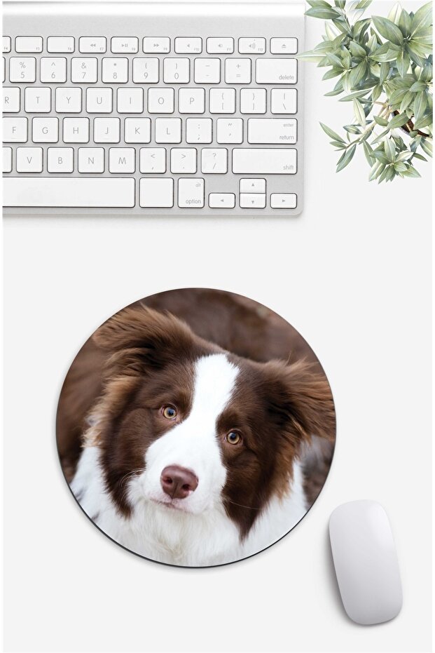 Border Collie Patterned Mouse Pad - 1