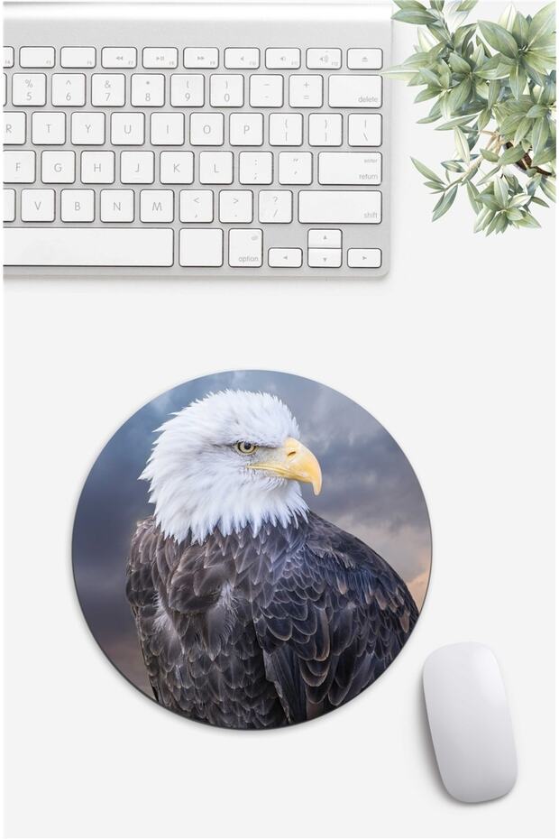 Black Eagle Patterned Mouse Pad - 1
