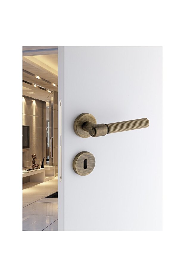 Axes-l Wc Rozetli Altın Renk Wc Banyo Kapı Kolu Ha213ro12wgl - 2