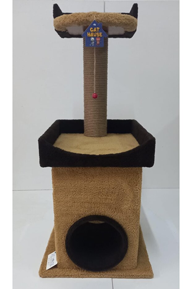 Star 3 Cat Scratching - 1