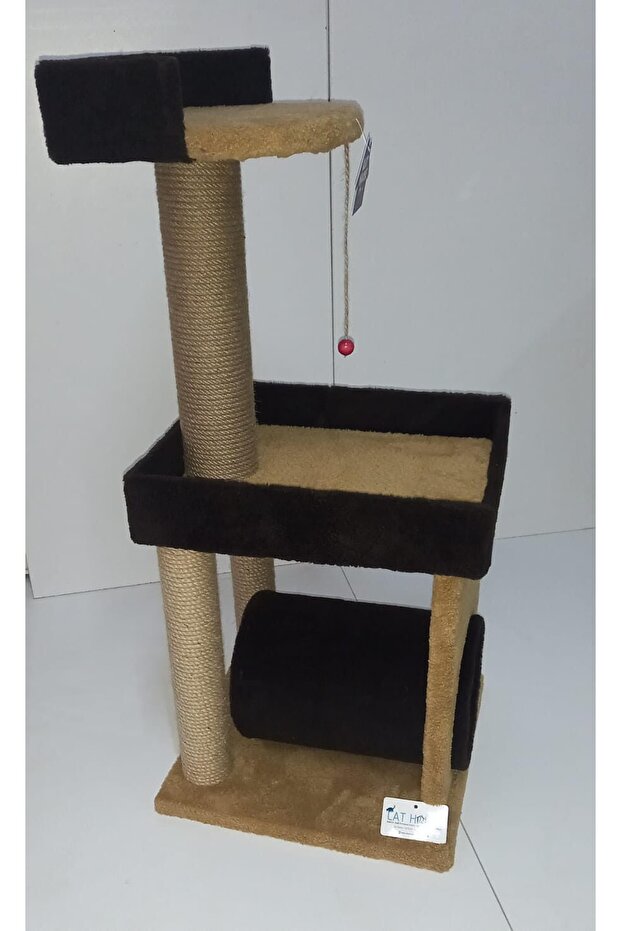 Star 3 Cat Scratching - 2