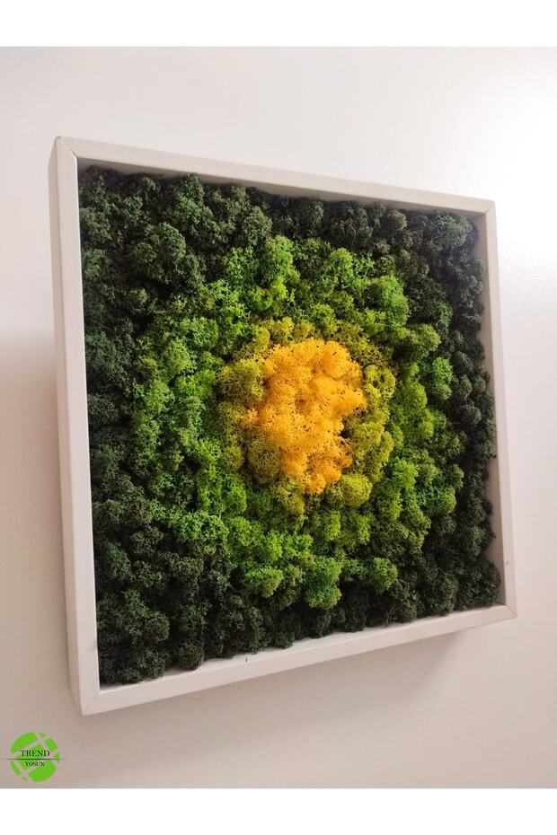 Sunshine Collection - Reindeer Moss Tablo - 1