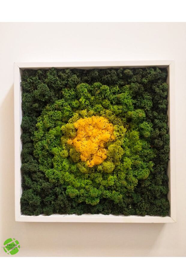 Sunshine Collection - Reindeer Moss Tablo - 2