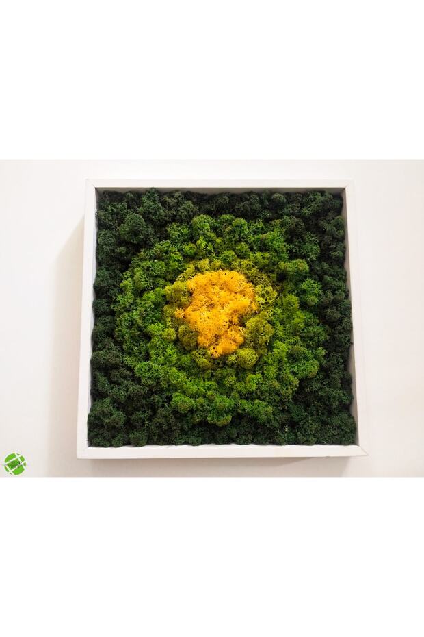 Sunshine Collection - Reindeer Moss Tablo - 3
