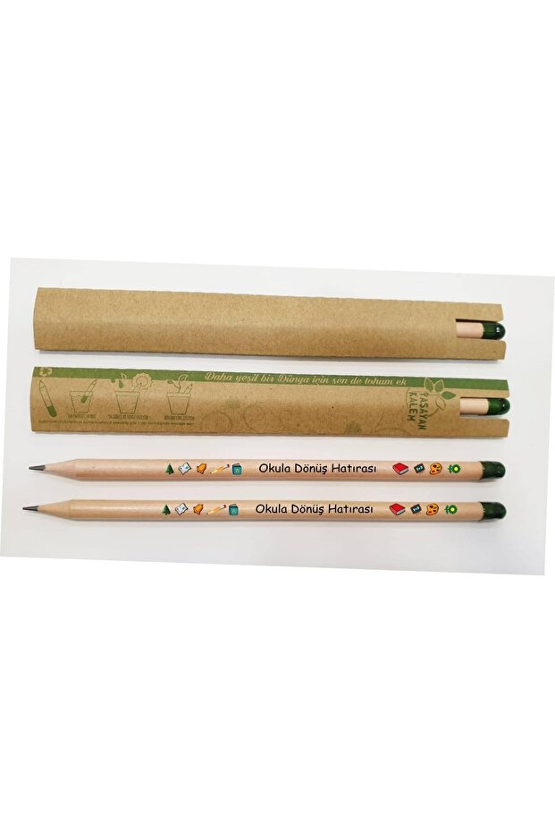 50 Pieces "Souvenir Back to School" Printed Seed Pencil Kk