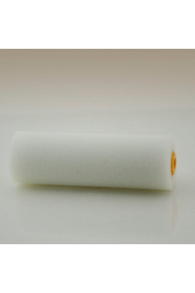 Sponge Roller Spare Head 10 cm