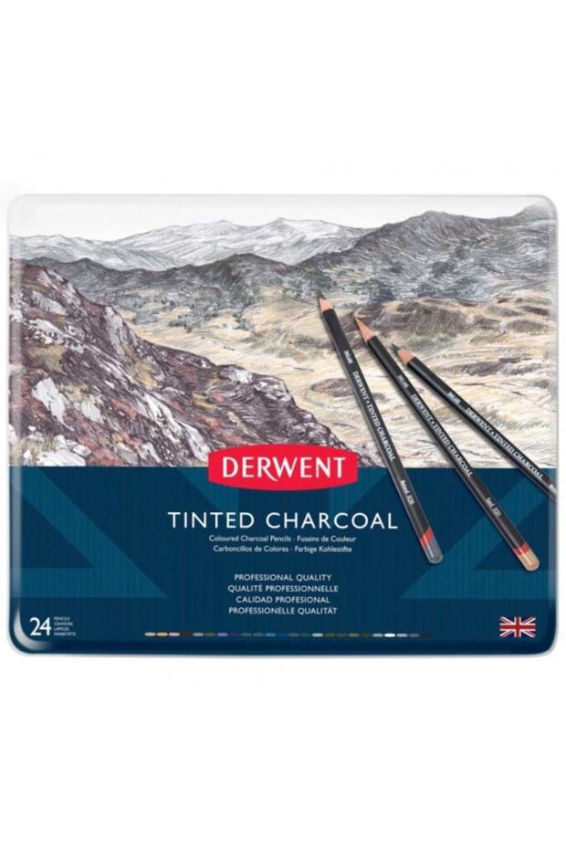 Tinted Charcoal Pencil 24 Pieces Tin Box (coloured Charcoal Pencil)