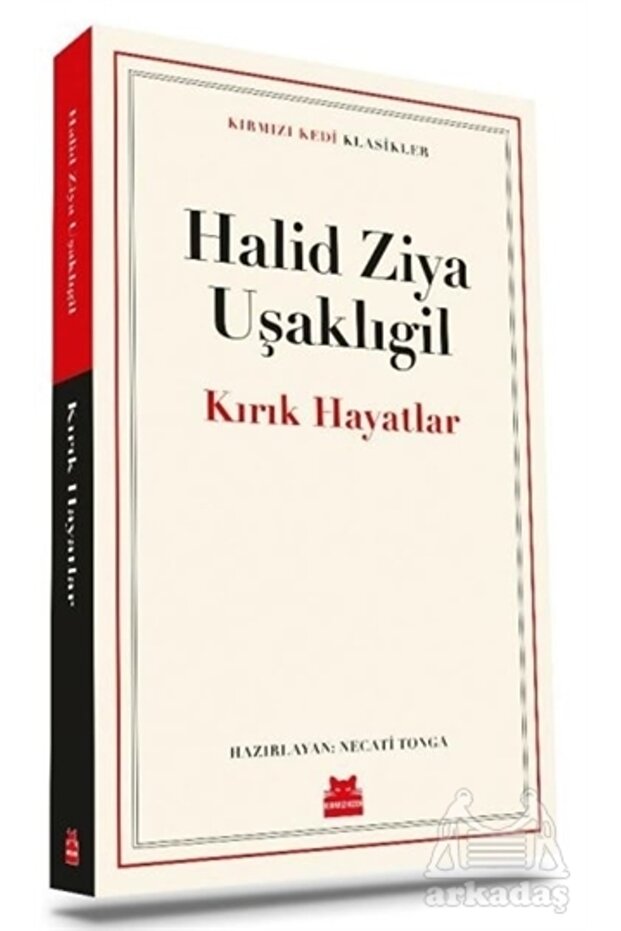 Kırık Hayatlar