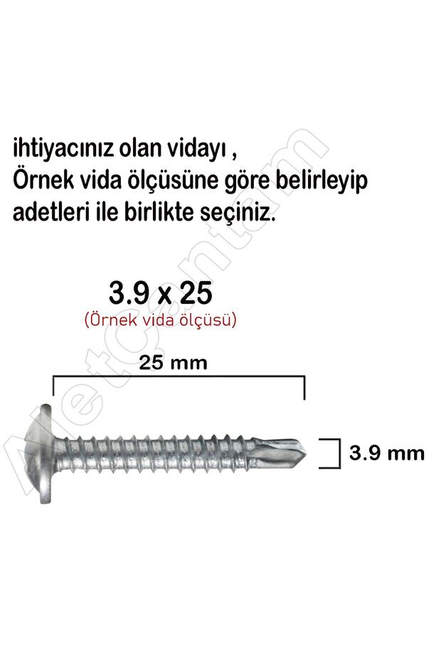 Pul Başlı Vida Rysb Apex Akıllı Matkap Uçlu Vidası 3.9 X 19 Mm 100 Adet - 2