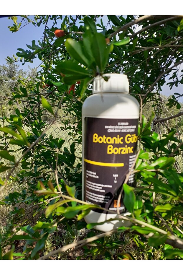Borzinc