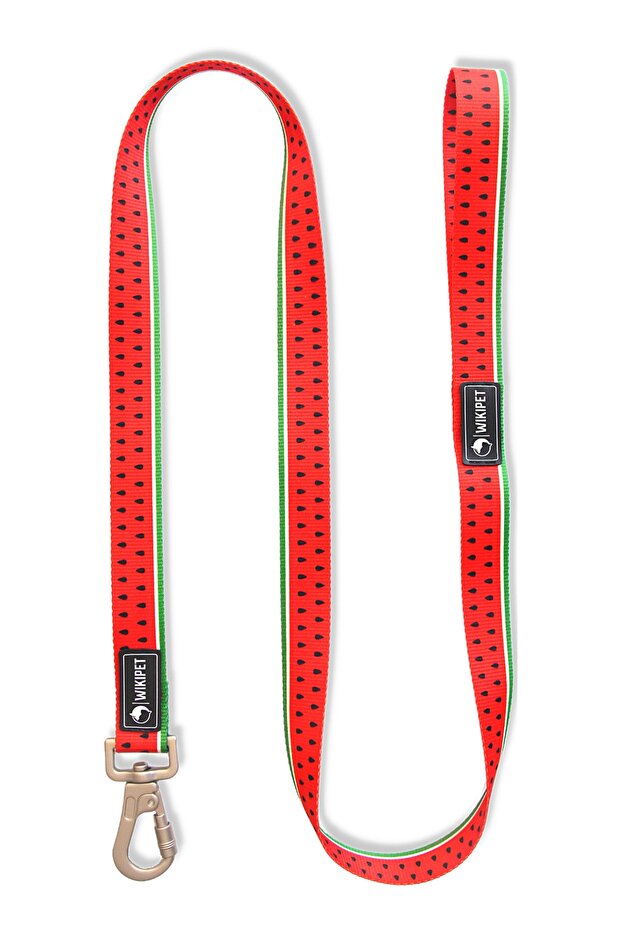 Sandia Köpek Tasma Seti - 4