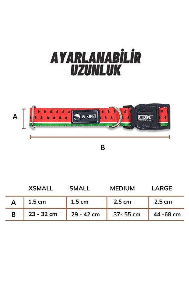 Sandia Köpek Tasma Seti - 6