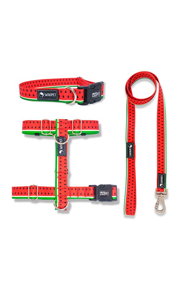 Sandia Köpek Tasma Seti - 1