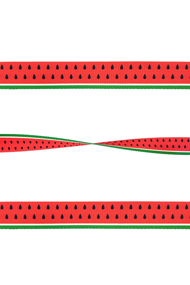 Sandia Köpek Tasma Seti - 5