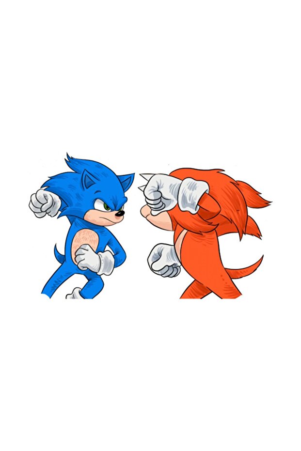 Sonic Vs Knuckles Kupa Bardak - 2