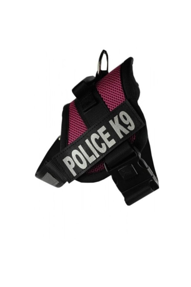 K-9 Special Collar No:2 Pink