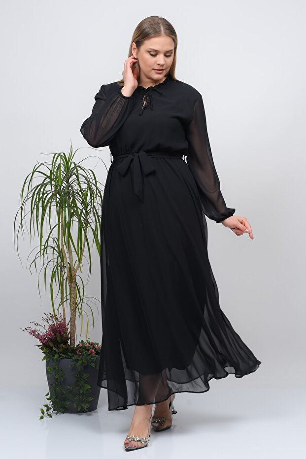 0 Collar Plain Chiffon - 1