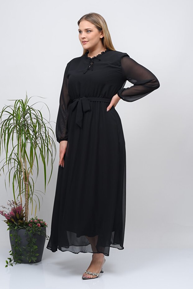 0 Collar Plain Chiffon - 3