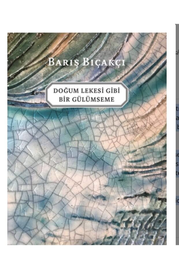 Doğum Lekesi Gibi Bir Gülümseme  , Barış Bıçakçı , Iletişim Yayınları ,   Doğum Lekesi Gibi Bir Gülümseme
