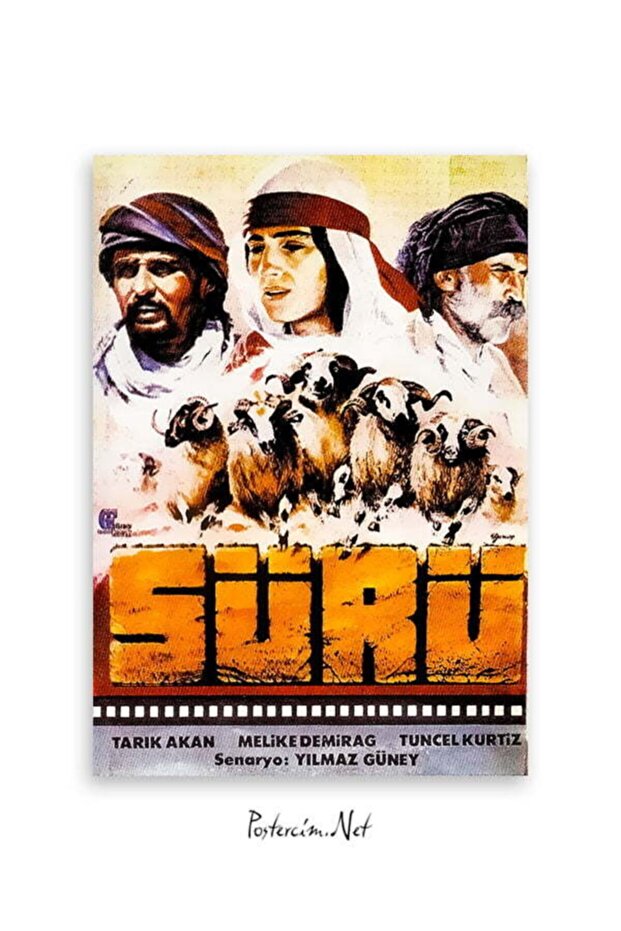 Sürü 1978 - 1