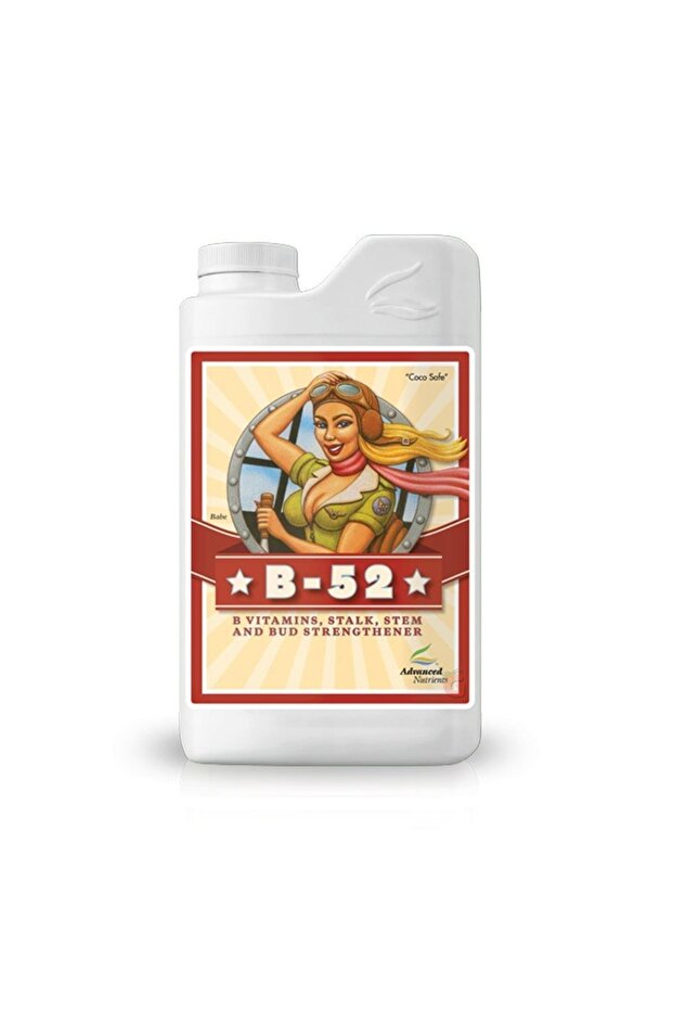 B-52 250 Ml - 1