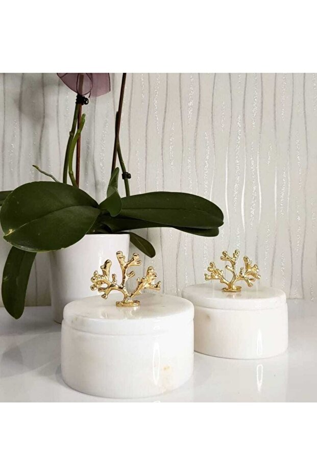 Decorative Natural White Marble Box with Lid | 2pcs | Gold Coral |