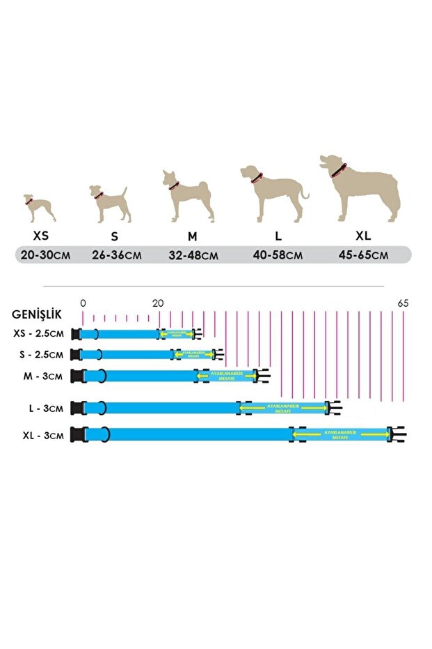 موجات طوق الكلب - 4