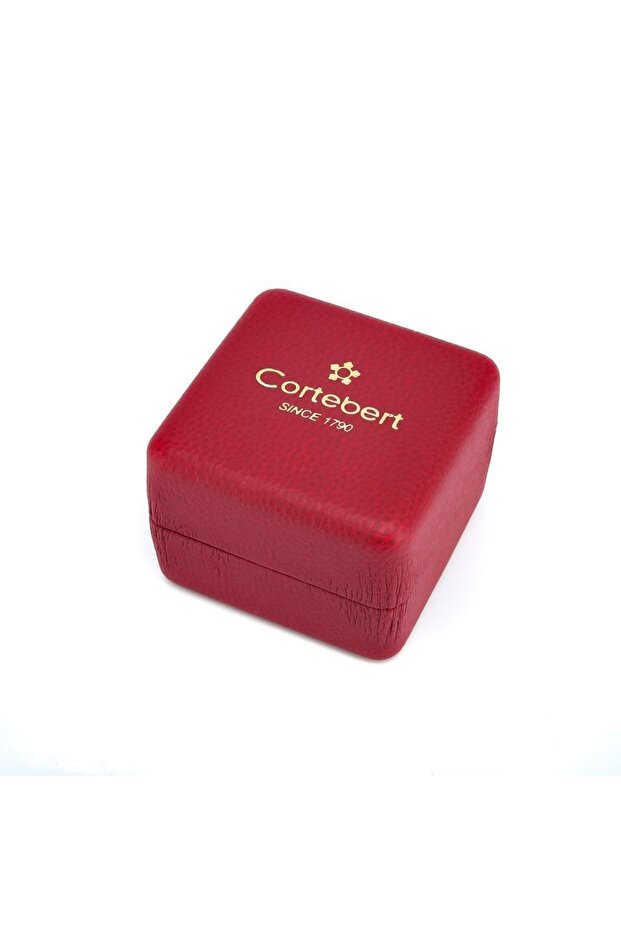 Isviçre Kol Saati - 5