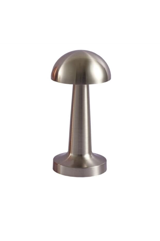 Modern Design Led Table Lamp Shade Sconce Chrome Body Imported Product