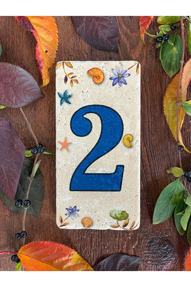 Doğaltaş Kapı Numarası 2 - 1