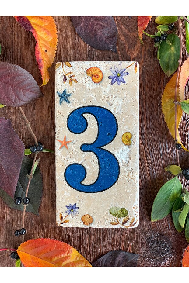 Doğaltaş Kapı Numarası 3 - 1