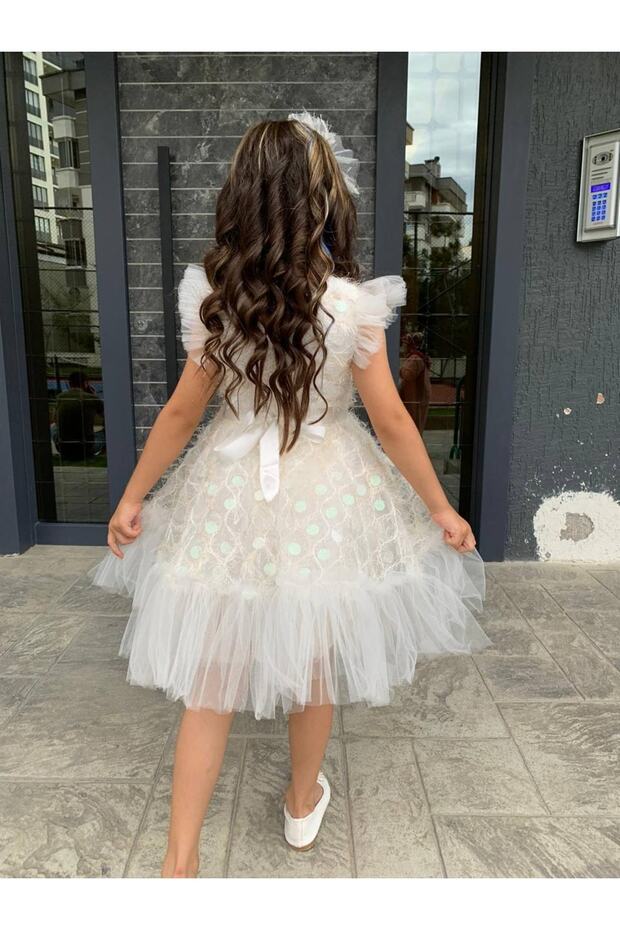 Tokalı Pullu Tüylü Elbıse - 3