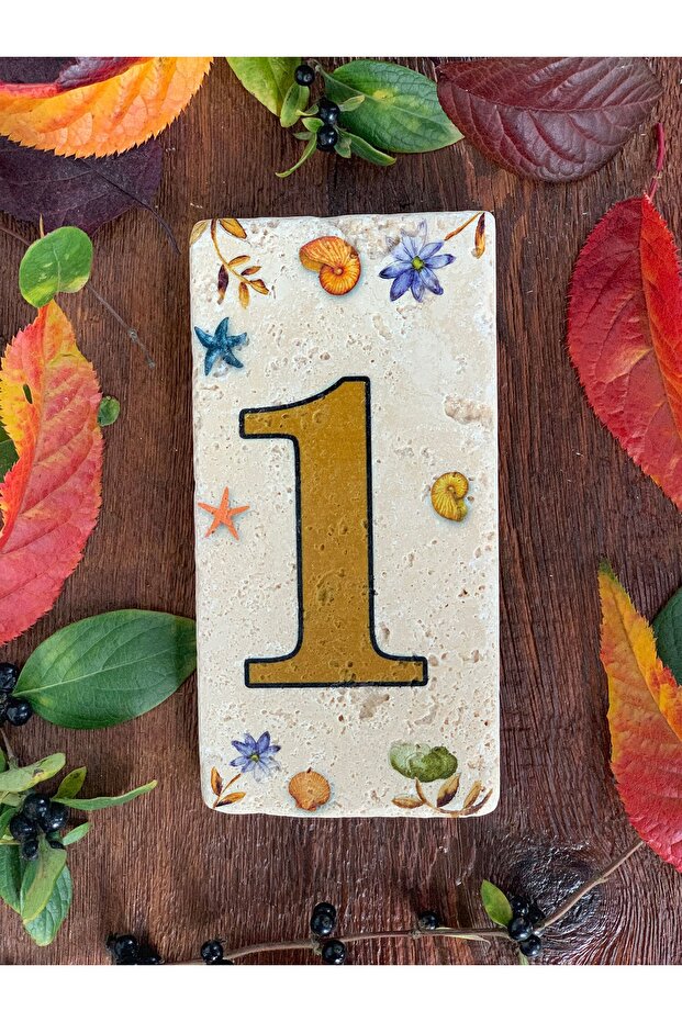 Doğaltaş Kapı Numarası 1 - 1