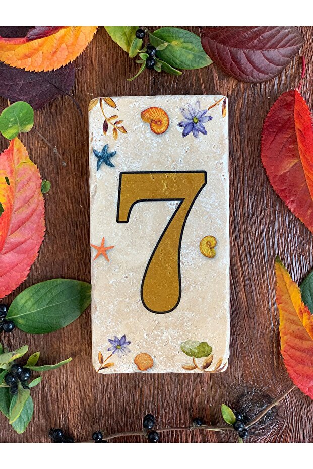 Doğaltaş Kapı Numarası 7 - 1