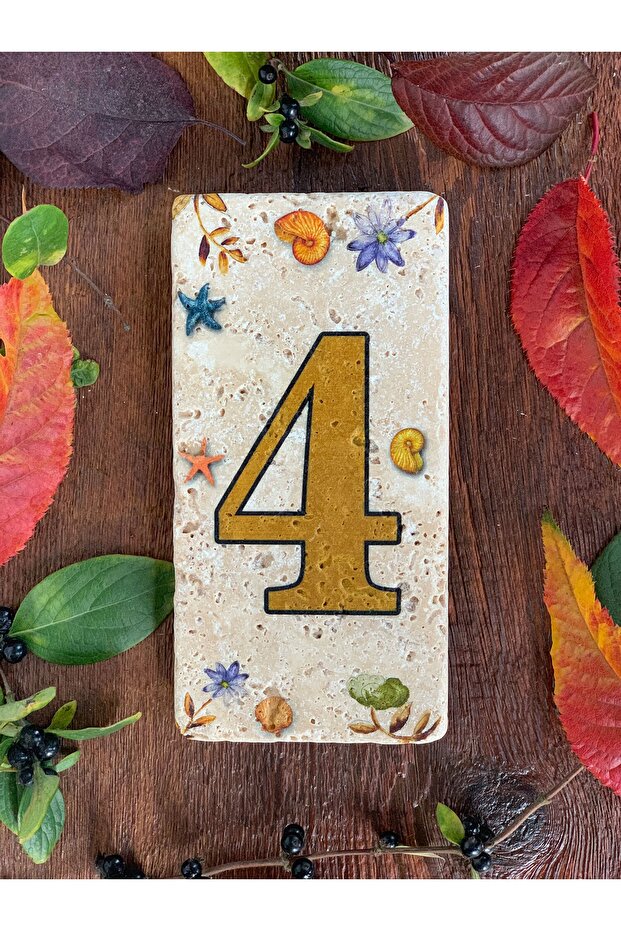 Doğaltaş Kapı Numarası 4 - 1