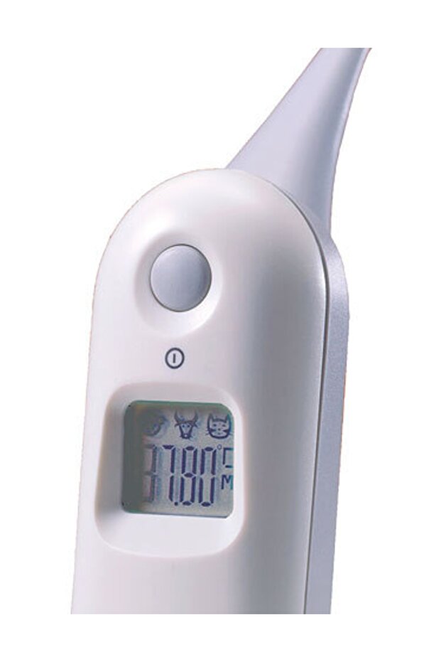 Topterm Dijital Termometre - 1